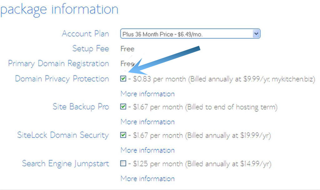 Bluehost package-information